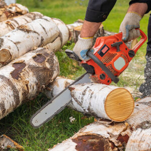 sawn-and-treated-timber-rough-sawn-man-logs