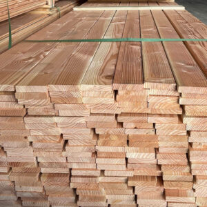 douglas-fir-img