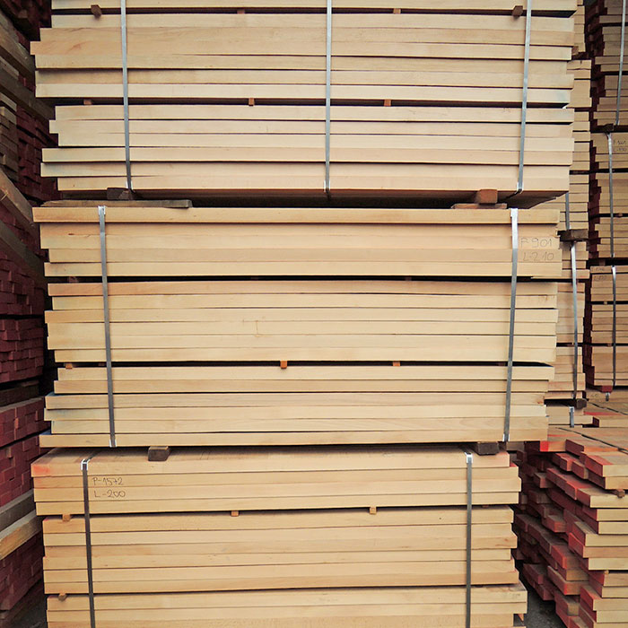 european-beech-img-01