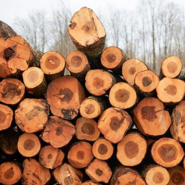 north-american-hardwood-img-01