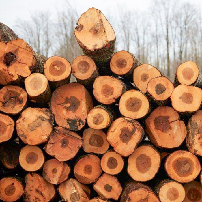 north-american-hardwood-img-01